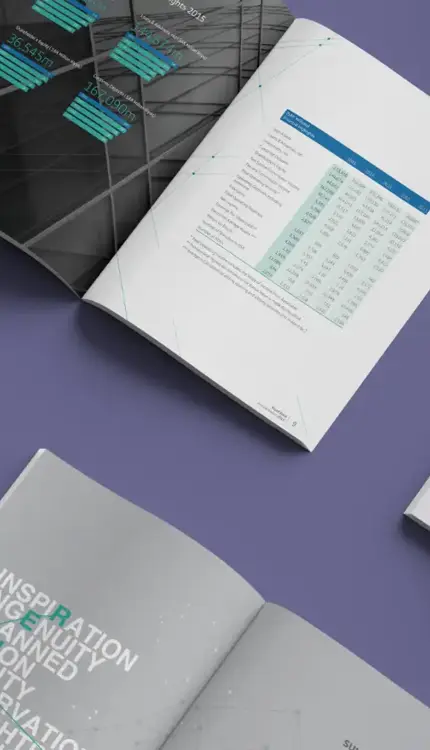 Riyad Bank 2015