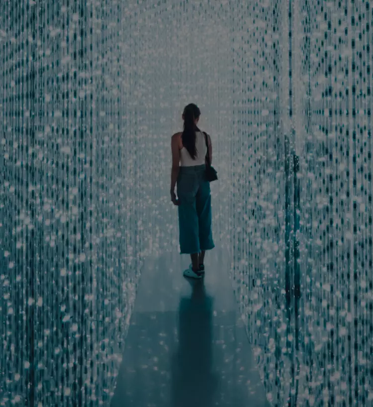 Spark Insights - Immersive Brands