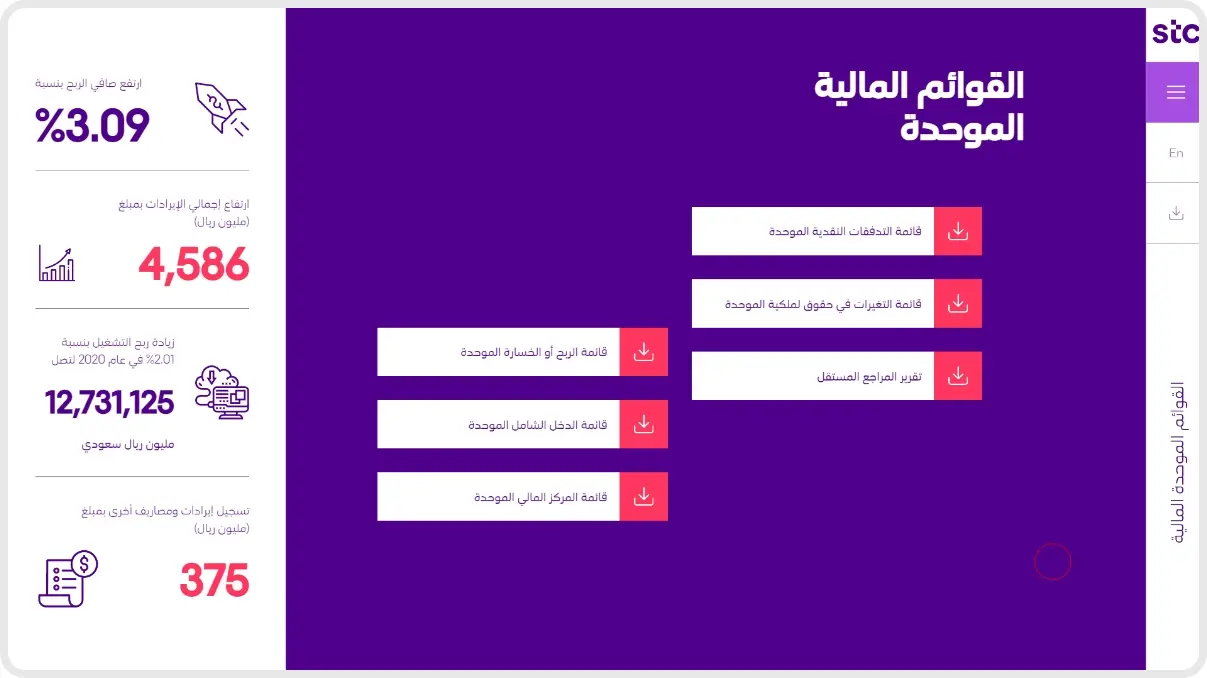 Spark Projects - STC Annual Report 2020